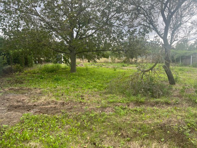 Eladó telek, Székesfehérvárott 7.5 M Ft / költözzbe.hu