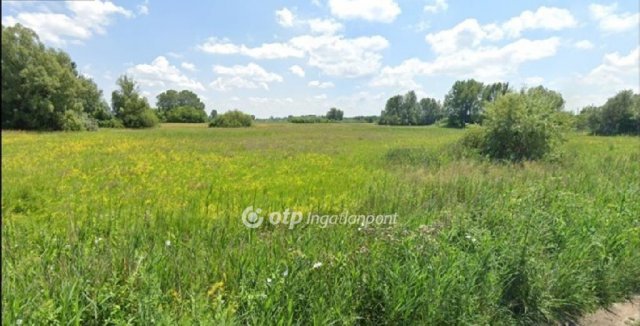 Eladó telek, Zsombón 32 M Ft / költözzbe.hu