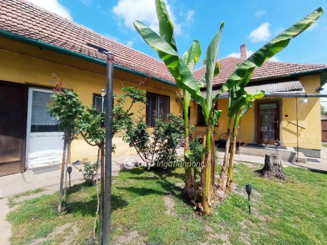 Eladó családi ház, Békéscsabán 39 M Ft, 3 szobás