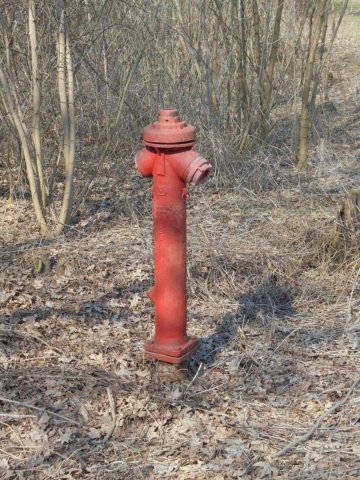 Eladó mezogazdasagi ingatlan, Tiszadadán 0.6 M Ft