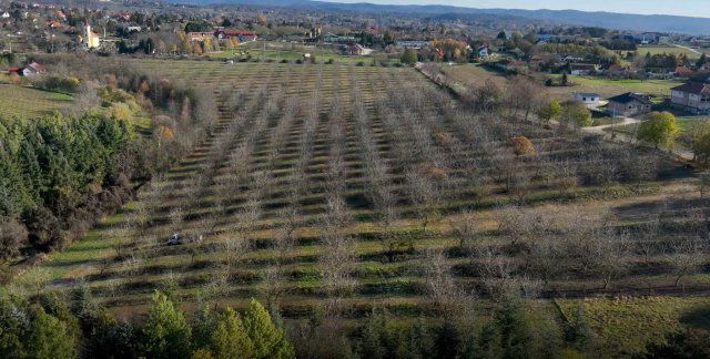 Eladó mezogazdasagi ingatlan, Cserszegtomajon 59 M Ft