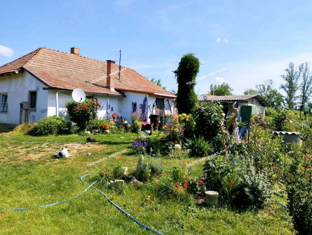 Eladó családi ház, Besenyszögön 18.9 M Ft, 4 szobás