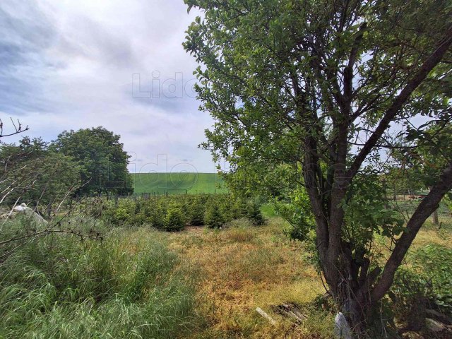 Eladó családi ház, Esztergályhorvátiban 40 M Ft, 3 szobás