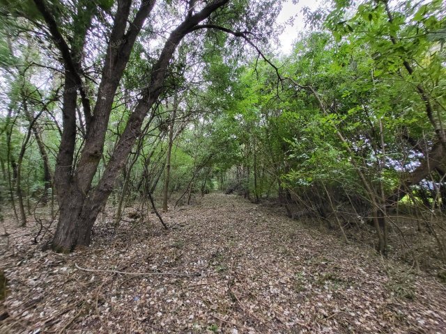 Eladó mezogazdasagi ingatlan, Tiborszálláson 32 M Ft