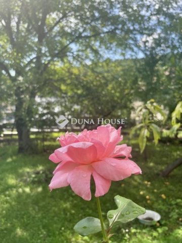 Eladó családi ház, Salgótarjánban 30 M Ft, 4 szobás