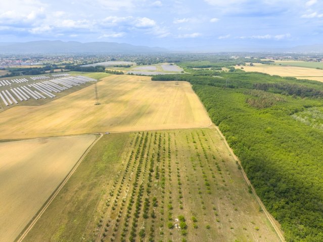 Eladó mezogazdasagi ingatlan, Sződön 149.9 M Ft