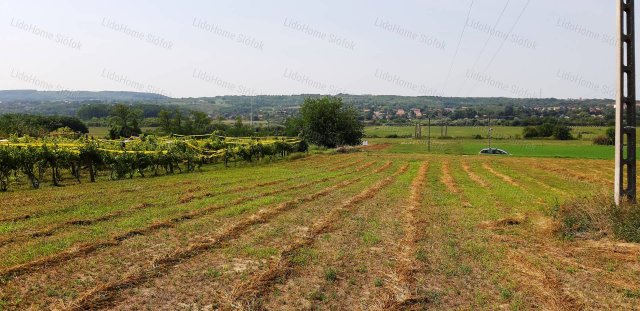 Eladó telek, Kőröshegyen 19.9 M Ft / költözzbe.hu