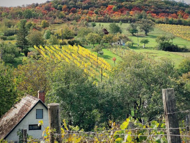 Eladó telek, Pécselyen 12 M Ft / költözzbe.hu