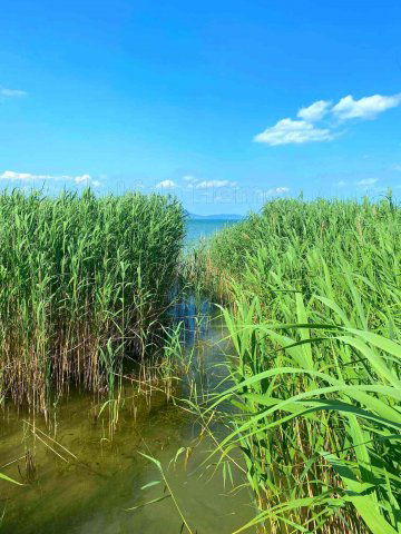 Eladó telek, Balatonmáriafürdőn 89 M Ft / költözzbe.hu
