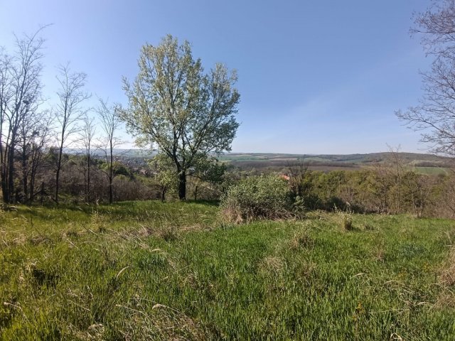 Eladó telek, Súron 11.8 M Ft / költözzbe.hu