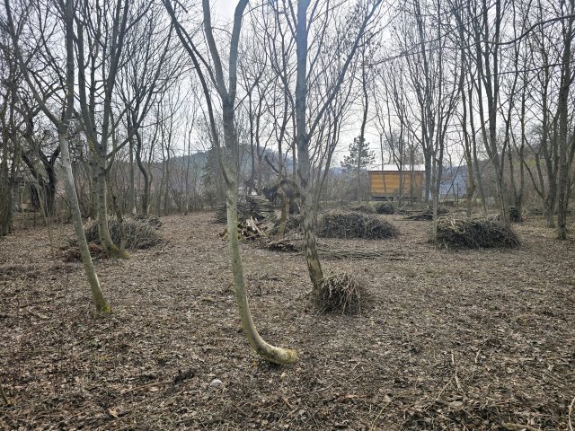 Eladó telek, Dunabogdányban 24.9 M Ft / költözzbe.hu