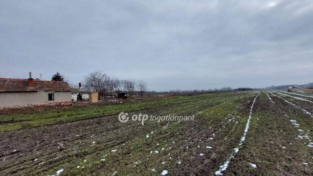 Eladó telek, Tiszakécskén 2.3 M Ft / költözzbe.hu