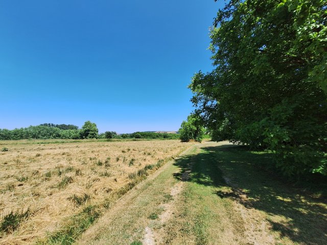 Eladó telek, Zalacsányon 89.9 M Ft / költözzbe.hu