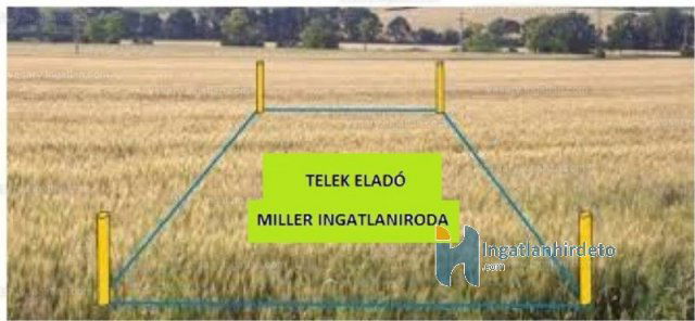 Eladó mezogazdasagi ingatlan, Debrecenben 85 M Ft