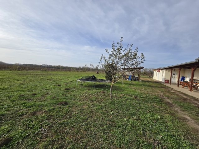Eladó családi ház, Görcsönyben 79.9 M Ft, 5 szobás