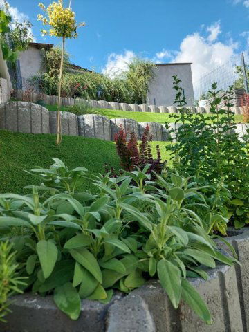 Eladó ikerház, Egerben 109 M Ft, 1+3 szobás