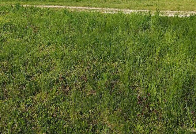 Eladó telek, Balatonszárszón 34.608 M Ft / költözzbe.hu