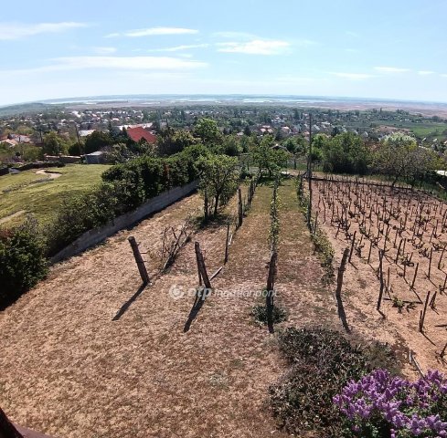 Eladó telek, Pákozdon 29.9 M Ft / költözzbe.hu