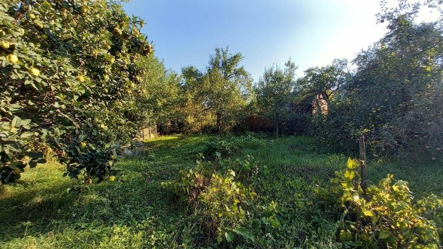 Eladó családi ház, Püspökszilágyin 43 M Ft, 2 szobás