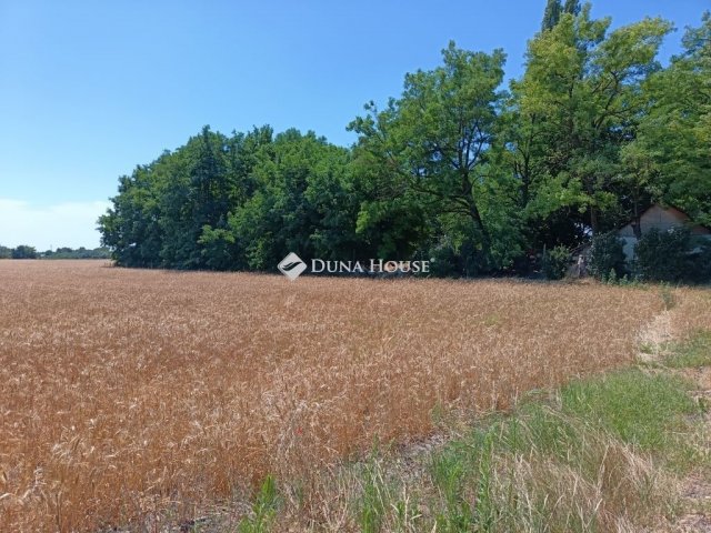 Eladó mezogazdasagi ingatlan, Szegeden 8.5 M Ft