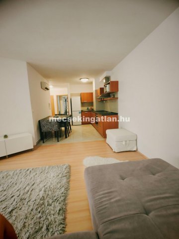 Kiadó téglalakás, albérlet, Pécsett 240 E Ft / hó, 2 szobás