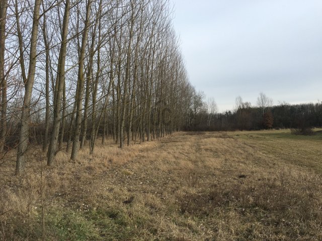 Eladó mezogazdasagi ingatlan, Tégláson 29.9 M Ft