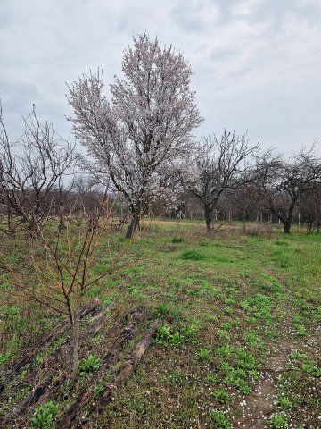 Eladó telek, Lepsényben 3.9 M Ft / költözzbe.hu