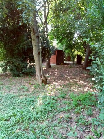 Eladó nyaraló, Tiszapüspökin 11.5 M Ft, 3 szobás