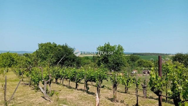 Eladó telek, Etyeken, Öreghegyi úton 183.37 M Ft