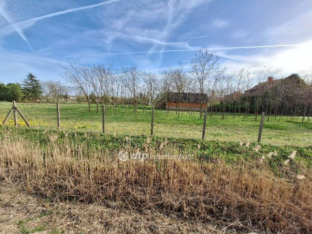 Eladó telek, Tiszajenőn 1.99 M Ft / költözzbe.hu