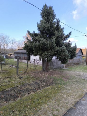 Eladó családi ház, Mikebudán 32.9 M Ft, 3 szobás