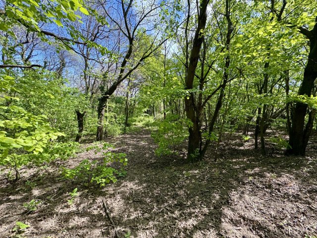 Eladó telek, Bazsiban 8 M Ft / költözzbe.hu