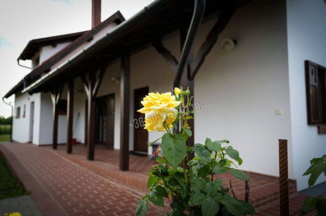 Eladó üzlethelyiség, Békésszentandráson 150 M Ft, 5 szobás