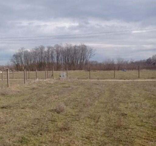 Eladó mezogazdasagi ingatlan, Csemőn 3.5 M Ft