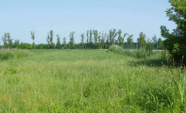 Eladó telek, Balatonszabadiban 25 M Ft / költözzbe.hu