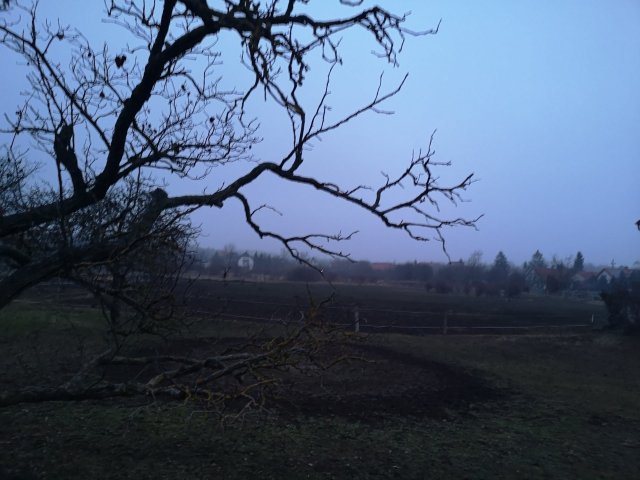 Eladó telek, Márkón 30 M Ft / költözzbe.hu