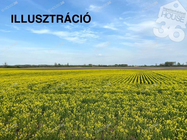Eladó telek, Kétyen 38 M Ft / költözzbe.hu