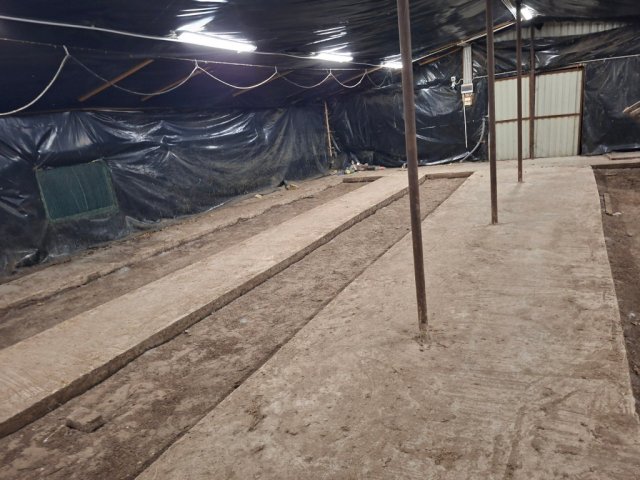 Eladó mezogazdasagi ingatlan, Kiskunmajsán 9.9 M Ft