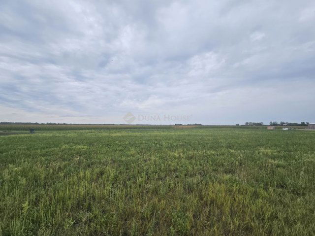 Eladó telek, Dunaszegen 27.5 M Ft / költözzbe.hu