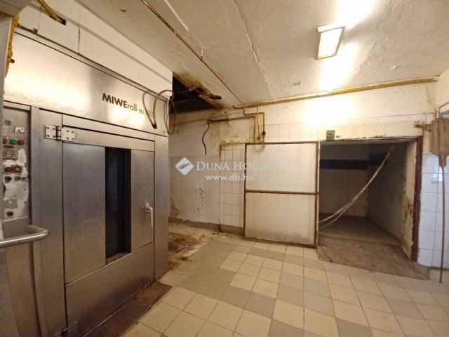 Eladó családi ház, Mendén 179.9 M Ft, 11 szobás