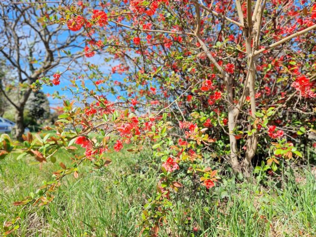 Eladó nyaraló, Zalakaroson 31 M Ft, 2+1 szobás