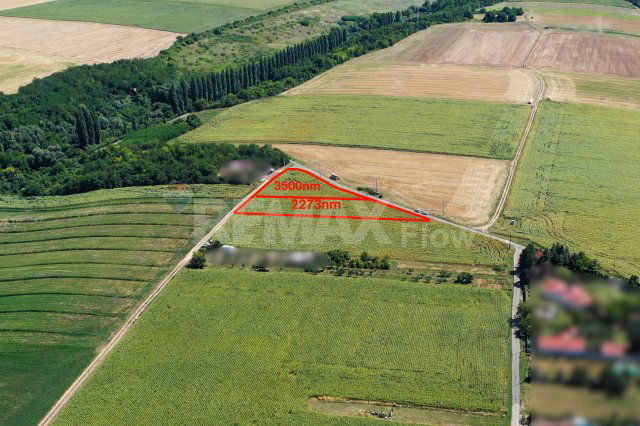 Eladó telek, Pécsudvardon 14.999 M Ft / költözzbe.hu