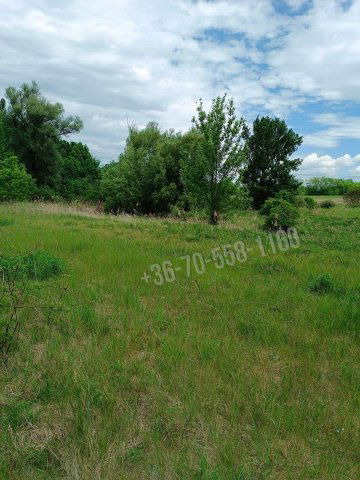 Eladó telek, Őrbottyánban 28 M Ft / költözzbe.hu