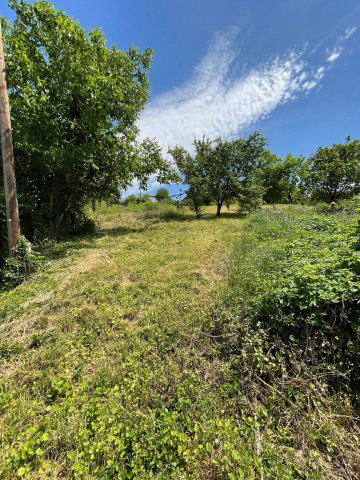 Eladó telek, Pécsett 1.9 M Ft / költözzbe.hu