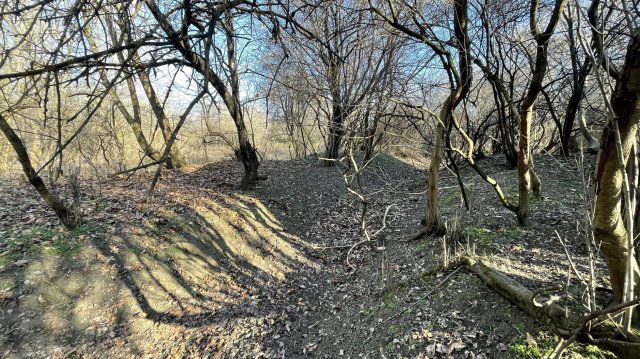 Eladó telek, Bajon 40 M Ft / költözzbe.hu