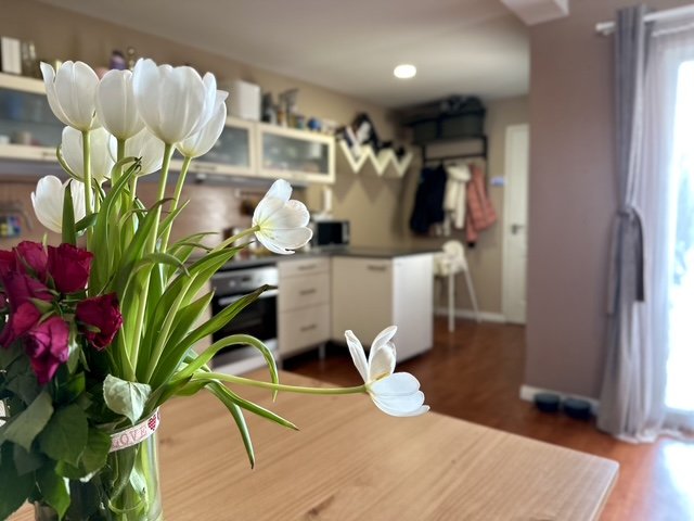 Eladó családi ház, Budakalászon 299 M Ft, 6+2 szobás