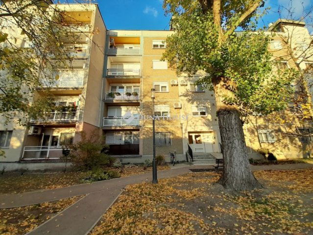 Eladó panellakás, Békéscsabán, Vécsey utcában 29.5 M Ft