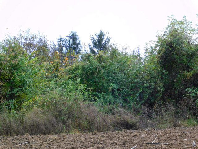 Eladó telek, Karádon 4.5 M Ft / költözzbe.hu