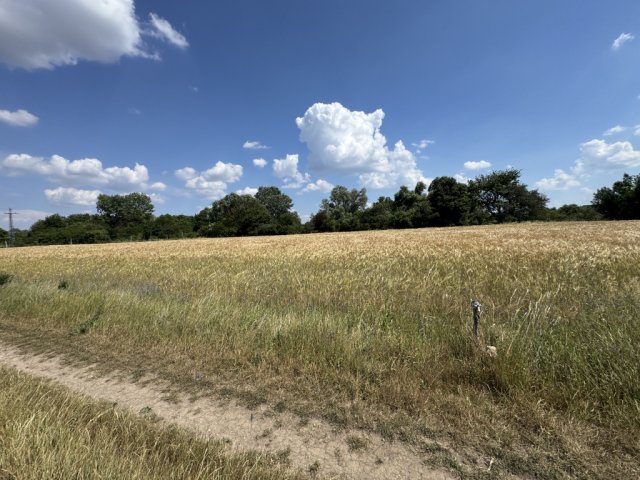 Eladó telek, Veszprémben 17.5 M Ft / költözzbe.hu
