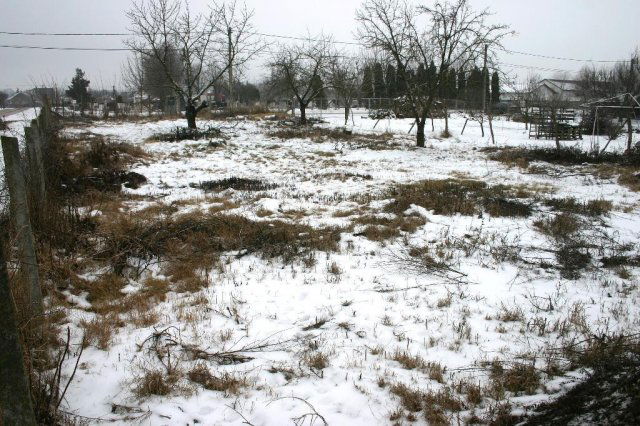 Eladó telek, Dunaszegen 21 M Ft / költözzbe.hu